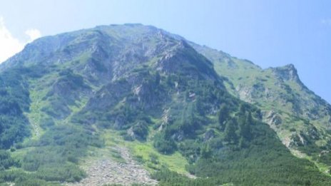 Предрешен конкурс за управлението на Пирин, алармира НПО 