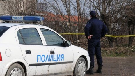Арестуваха четирима, събирали защитени костенурки