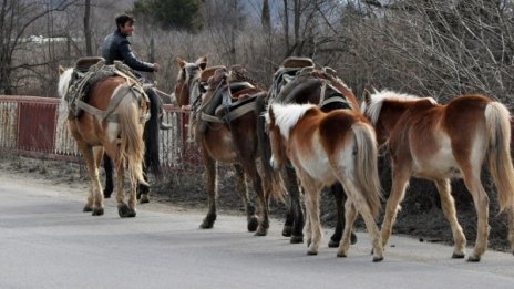 Кризата променила бита и на ромите