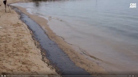  Мазут покри плаж Трета буна във Варна
