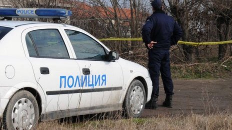Кон се блъсна в автомобил