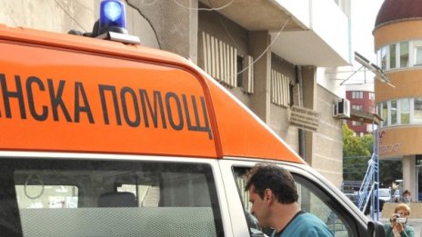 Мъж почина, след като пострада при дърводобив