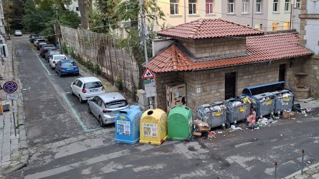 Добре дошли в Бургас: Плъхове, котки, гларуси разнасят разпилени боклуци 