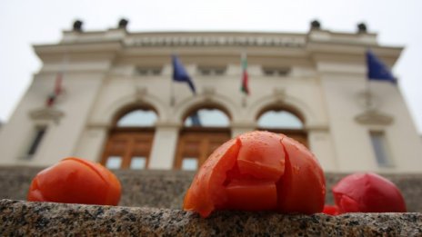Стотици пият кафе пред НС и крещят: Тръгвайте си! 