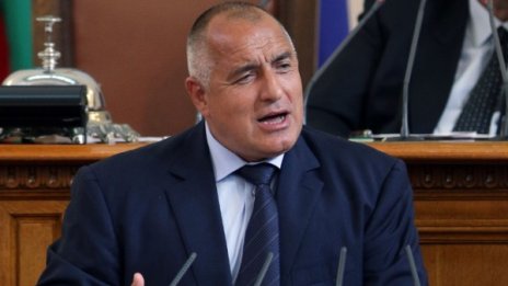 Окървавихте столицата, каква е тази нервна система?