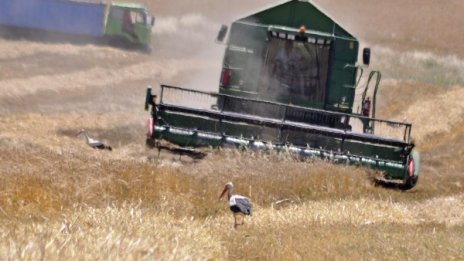 Реколтата от зърно и пшеница е добра, успокои Греков
