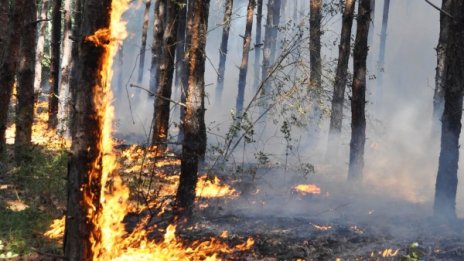 Пожар горя във вилната зона край Айтос*