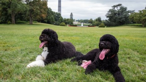 Семейство Обама с нов домашен любимец