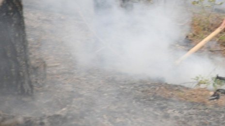 Задържаха дядо за палеж в Хасковско