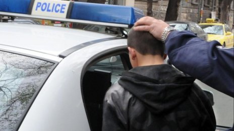 Хванаха рецидивисти, отмъкнали статуя