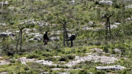 Турски трафиканти "одират" кожата на бежанците от Сирия