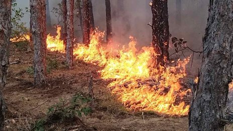 Пожар гори в Сакар планина, 9 екипа огнеборци са на терен