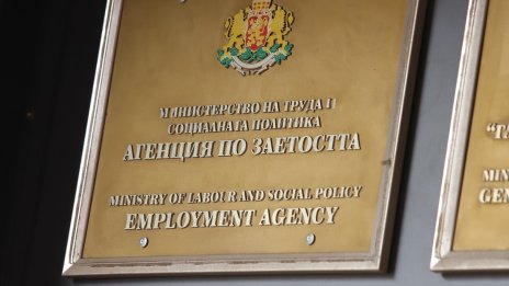 Близо 25 000 чужденци са пристигнали за работа у нас през 2025 г.