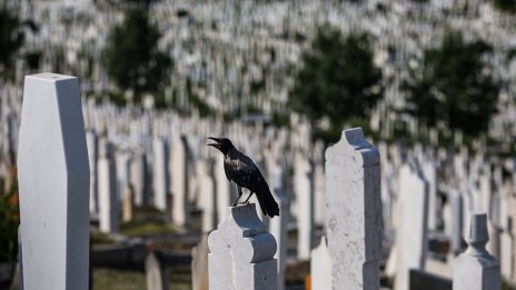 Въпросът остава: Кои са били хората, стреляли по деца в Сараево, като на сафари? 