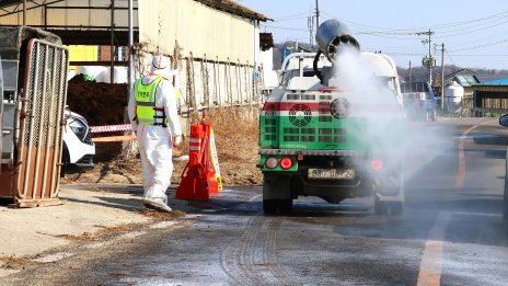 Голяма част от Ларнака е под карантина заради огнище на шап