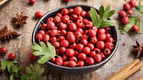 7 билки за нормално кръвно налягане