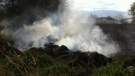 Пожар горя край цитрусов склад в пловдивско село