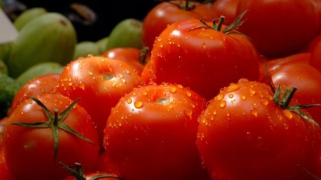 Нова система за контрол над вноса на храни от догодина