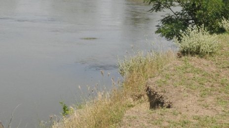 Кола падна в коритото на Стара река