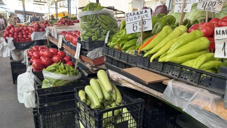 Политиците са заети с изборите си, а земеделието ни е на ръба