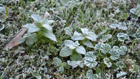Не чакайте сняг през ноември, ще има дни с до 22&deg;С