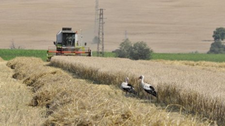 БСП удари рамо на ДПС: Сезират КС за мораториума