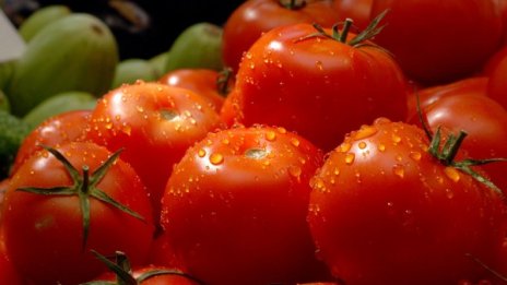 Цените на едро на храните с 5.5% по-ниски отпреди година