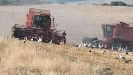 Протест се обяви против продажбата на земя на чужденци