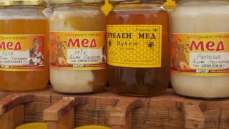С добра реколта от мед се похвалиха пчеларите