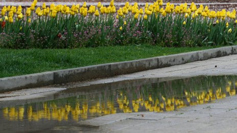 Западният вятър се усилва утре, температурите до 20&deg;