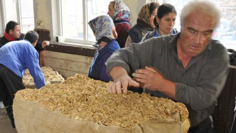 Тютюнопроизводителите излизат на протест в понеделник 