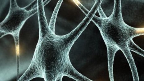 Учени създадоха "жива" клетка от пластмаса