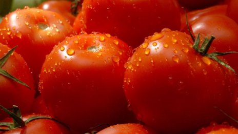 Родните краставици поскъпват, доматите по-евтини