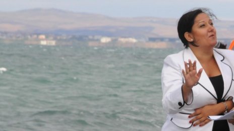 Лиляна Павлова зове: Извадете багерите от дюните!