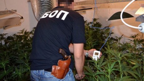 С парола „Един голям“ получаваш сандвич с марихуана 