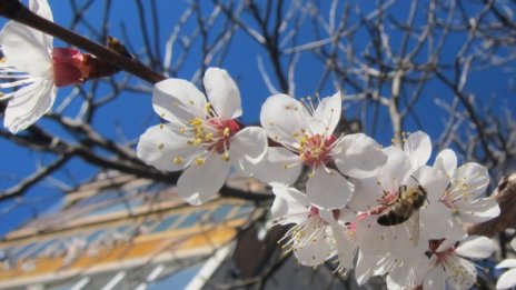 Жежък април, живакът скача и до 29°