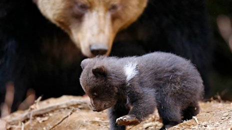 Денят в снимки