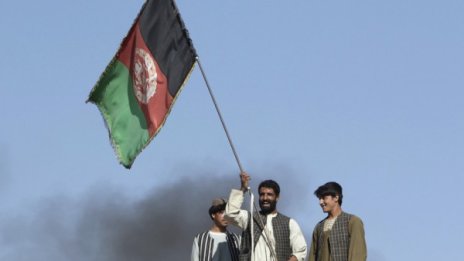 Изберете папагал! Изберете острилка! Гласувайте в Афганистан!