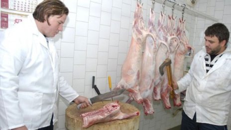 За месец бракували 100 т съмнително месо и млечни продукти