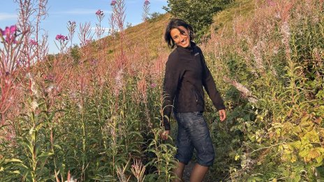 Издирвана Стефани е открита край Железница 