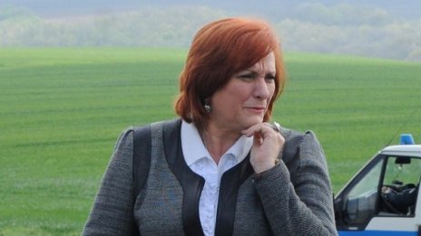 Министър Михайлова излиза в отпуск заради евроизборите