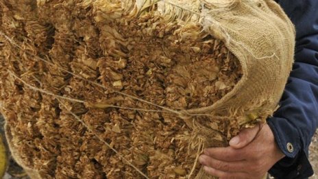 Столични полицаи иззеха 175 кг контрабанден тютюн 