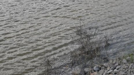 Изпускат язовир "Студена", проливните дъждове напълнили водоема