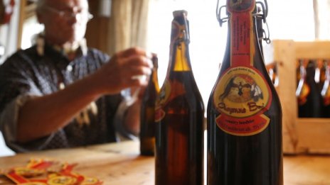 Пуснаха бира за кучета