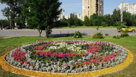 В София за втори път пръскат срещу кърлежи и комари