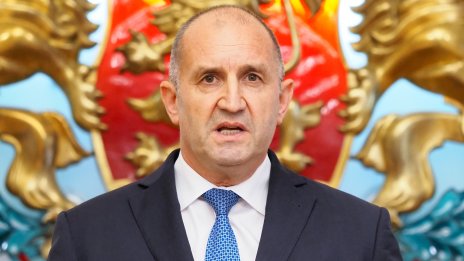 Президентът: Предложих референдум, а не партия