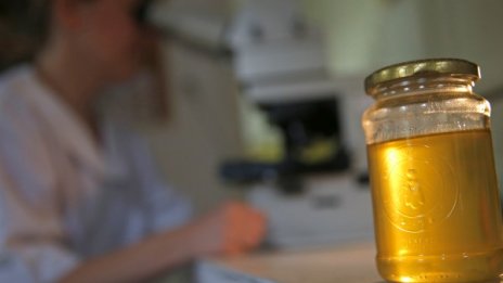 Защо медът от манука е толкова полезен?
