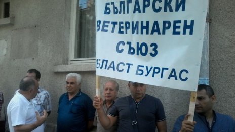 Ветеринари в Бургас протестират срещу БАБХ