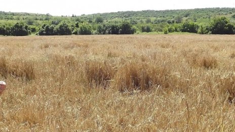 Млади фермери, останали без европари, излизат на протест 