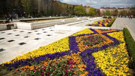 София става по-зелена, китки и фонтани разкрасяват НДК 